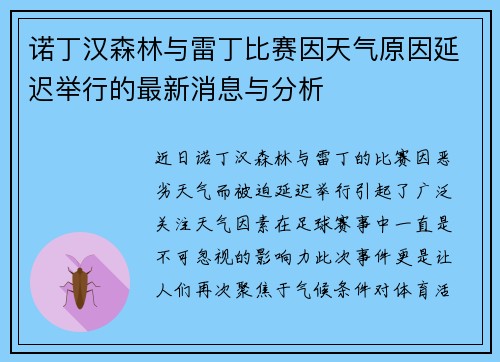 诺丁汉森林与雷丁比赛因天气原因延迟举行的最新消息与分析